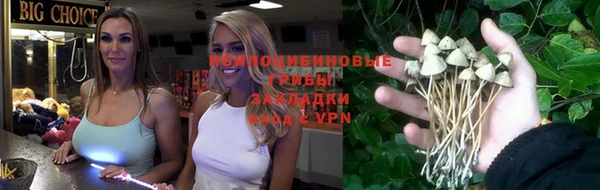 ешки Алексин