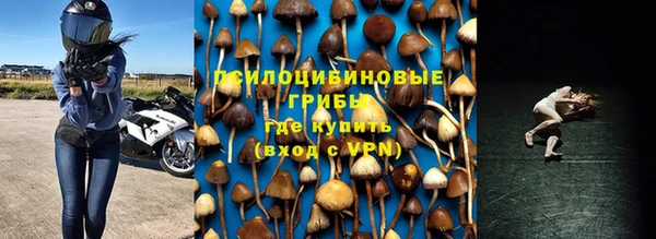 ешки Алексин