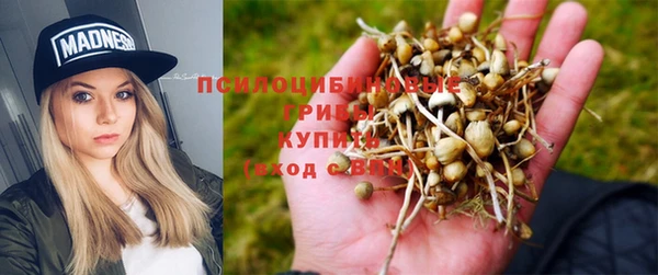 ALPHA PVP Алзамай