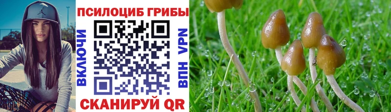 закладка  Лесной  Галлюциногенные грибы прущие грибы 