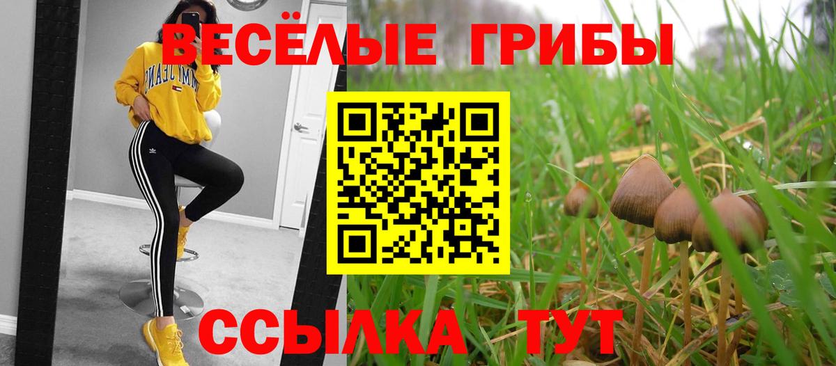 Галлюциногенные грибы Psilocybine cubensis  купить наркотик  Лесной  Вход с VPN  Галлюциногенные грибы ЛСД 